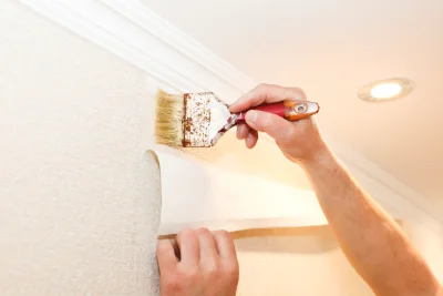 Pose de papier peint à Palmas d'Aveyron — revêtements muraux et toiles de verre